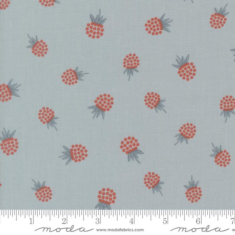 Nature's Sketchbook - Jelly Roll - Elena Amo - Moda (Pre-order: Sept 2026)