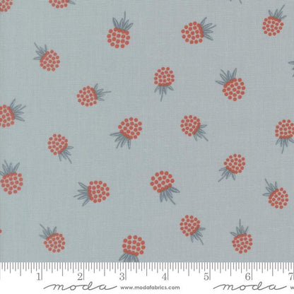 Nature's Sketchbook - Jelly Roll - Elena Amo - Moda (Pre-order: Sept 2026)