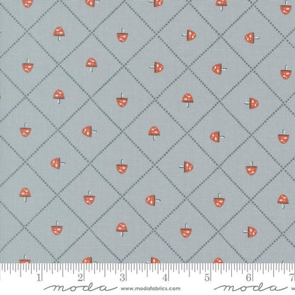 Nature's Sketchbook - Charm Pack - Elena Amo - Moda (Pre-order: Sept 2026)