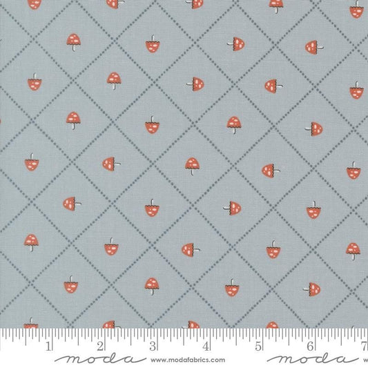 Nature's Sketchbook - Mushroom Grid in Sky - Elena Amo - Moda (Pre-order: Sept 2026)