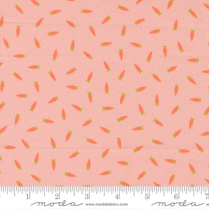 Hop Into Spring - Charm Pack - Elena Amo - Moda (Pre-order: Mar 2027)