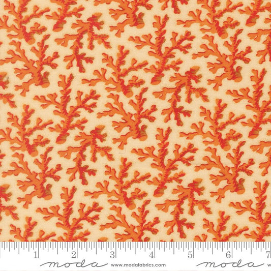 Saltwater - Coral Me This in Coral - Cathe Holden - Moda (Pre-order: Apr 2026)