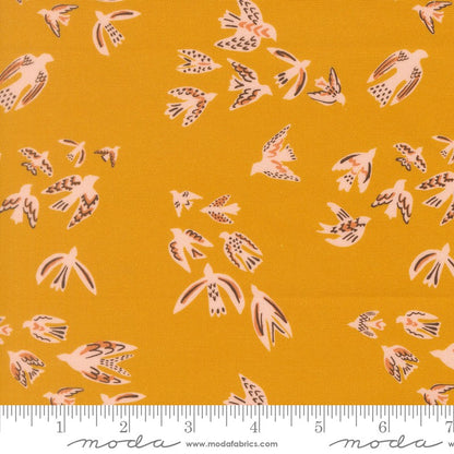 Flora & Thread - Jelly Roll - Fancy That Design House - Moda (Pre-order: Dec 2026)