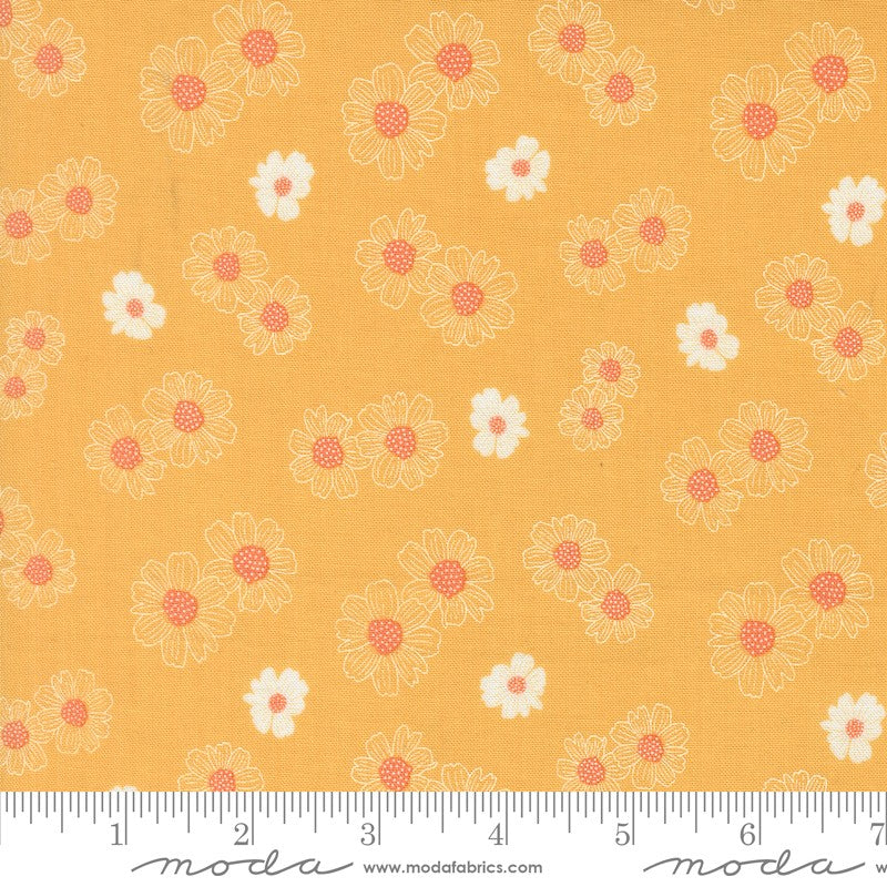 Catching Sunshine - Layer Cake - Keri Anguiano - Moda (Pre-order: Feb 2027)