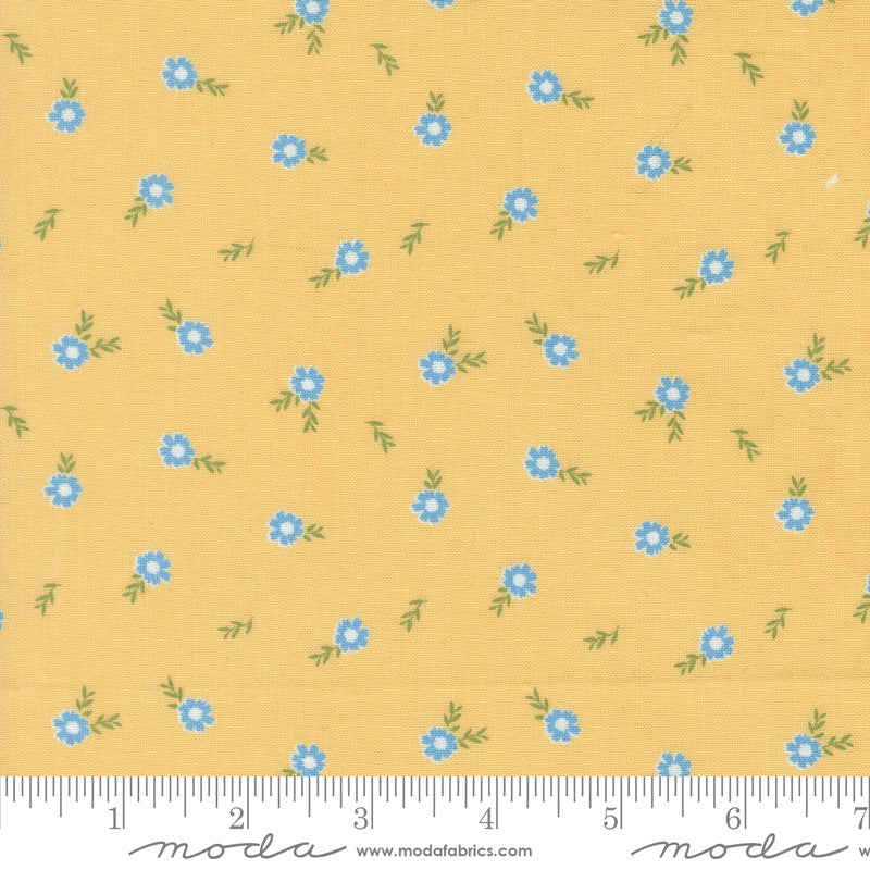 Catching Sunshine - Fat Quarter Bundle - Keri Anguiano - Moda (Pre-order: Feb 2027)