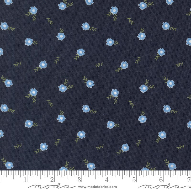 Catching Sunshine - Fat Quarter Bundle - Keri Anguiano - Moda (Pre-order: Feb 2027)