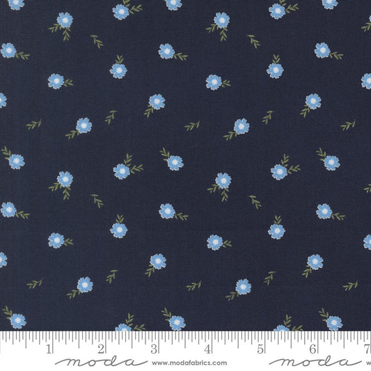 Catching Sunshine - Cutesy in Navy - Keri Anguiano - Moda (Pre-order: Feb 2027)