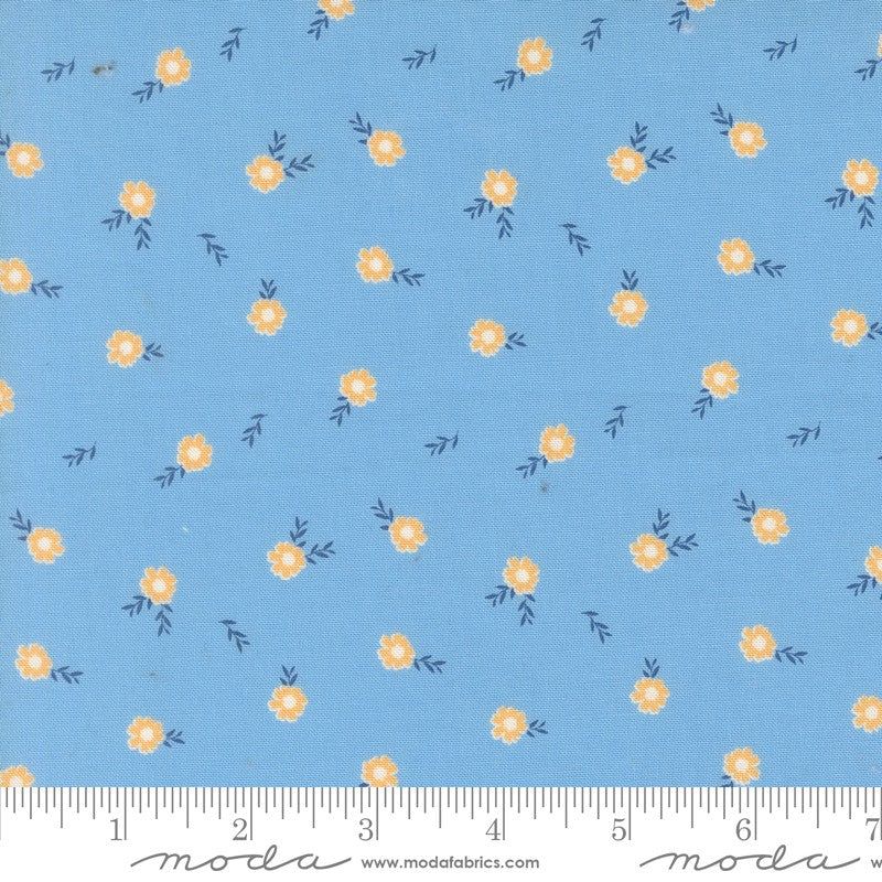 Catching Sunshine - Cutesy in Skylight - Keri Anguiano - Moda (Pre-order: Feb 2027)