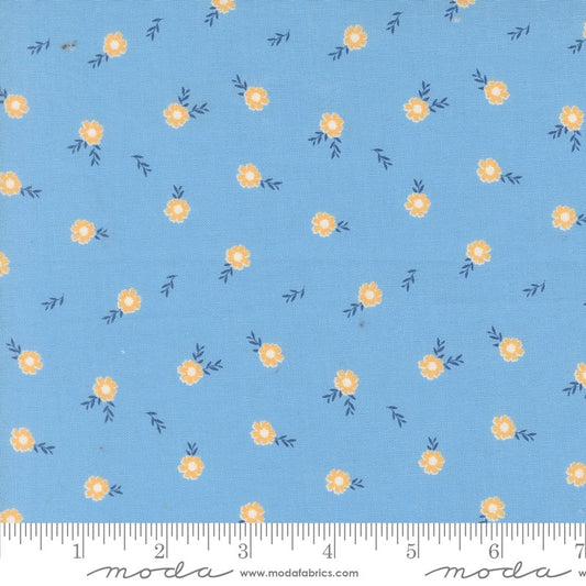 Catching Sunshine - Cutesy in Skylight - Keri Anguiano - Moda (Pre-order: Feb 2027)
