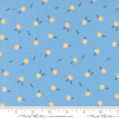 Catching Sunshine - Fat Quarter Bundle - Keri Anguiano - Moda (Pre-order: Feb 2027)