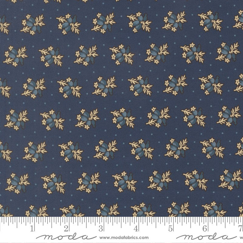 Pamelia's Path - Jelly Roll - Betsy Chutchian - Moda (Pre-order: Mar 2026)