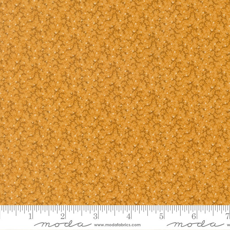 Pamelia's Path - Jelly Roll - Betsy Chutchian - Moda (Pre-order: Mar 2026)