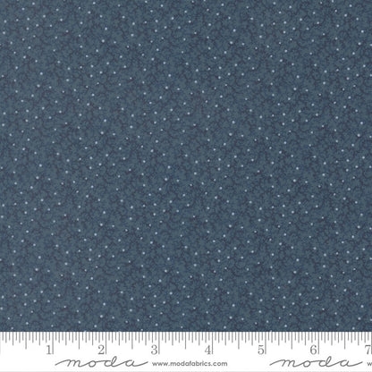 Pamelia's Path - Jelly Roll - Betsy Chutchian - Moda (Pre-order: Mar 2026)