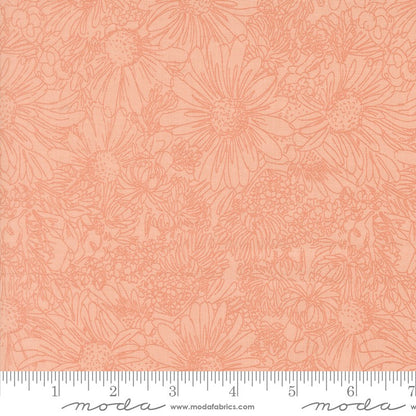 Ladybug Whimsy - Jelly Roll - Gingiber - Moda (Pre-order: Oct 2026)