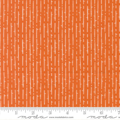 Coven - Layer Cake - Robin Pickens - Moda (Pre-order: July 2026)