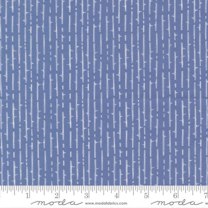 Coven - Layer Cake - Robin Pickens - Moda (Pre-order: July 2026)