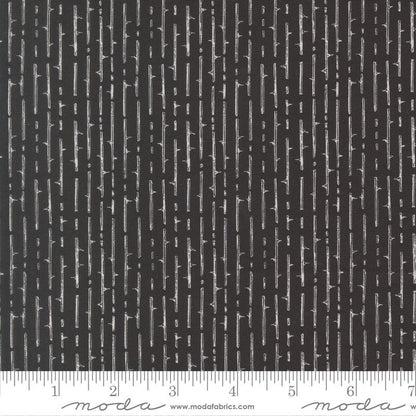 Coven - Layer Cake - Robin Pickens - Moda (Pre-order: July 2026)