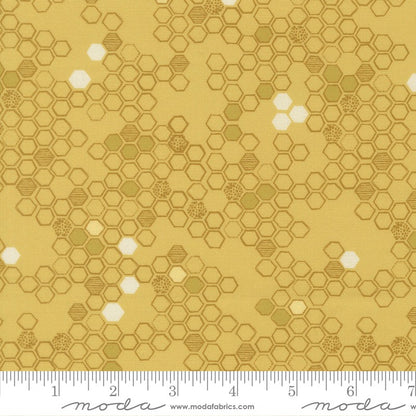 Pollinators - Charm Pack - Robin Pickens - Moda (Pre-order: Jan 2027)