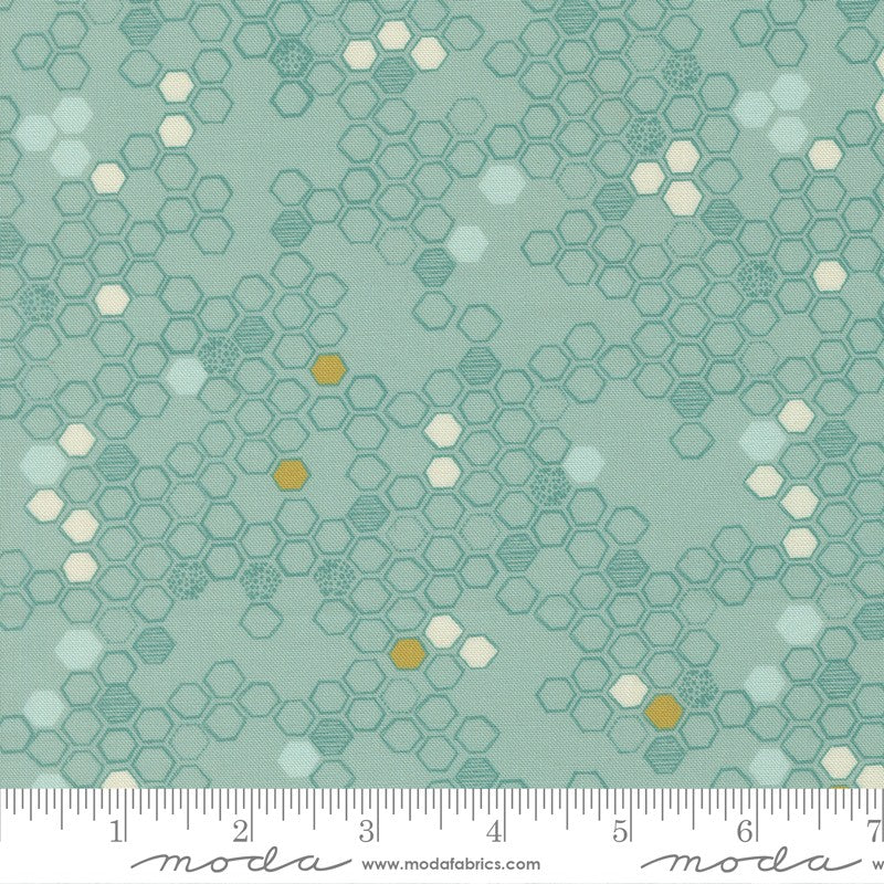 Pollinators - Charm Pack - Robin Pickens - Moda (Pre-order: Jan 2027)