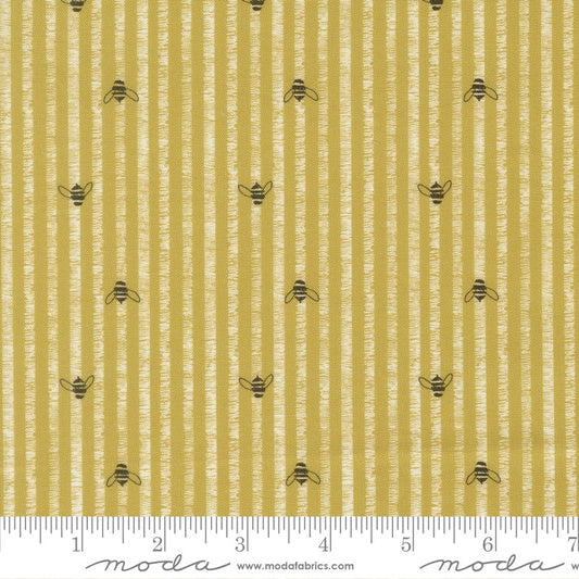 Pollinators - Bee Stripes in Golden - Robin Pickens - Moda (Pre-order: Jan 2027)