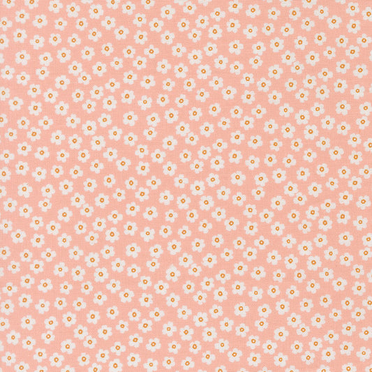 True to Hue - 11566-18 - Blush - Moda