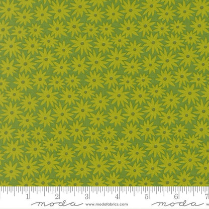 Scenery - Jelly Roll - Elizabeth Hartman - Moda (Pre-order: June 2026)