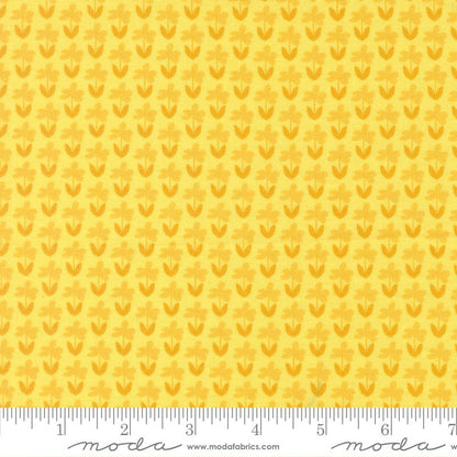 Scenery - Charm Pack - Elizabeth Hartman - Moda (Pre-order: June 2026)