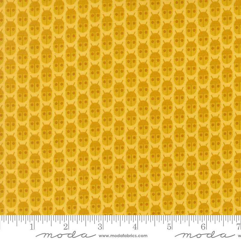 Popcorn - Charm Pack - Elizabeth Hartman - Moda (Pre-order: Dec 2026)