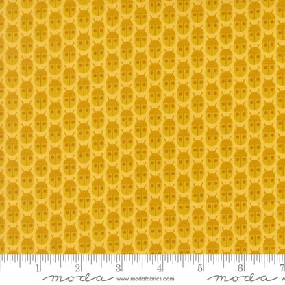 Popcorn - Charm Pack - Elizabeth Hartman - Moda (Pre-order: Dec 2026)