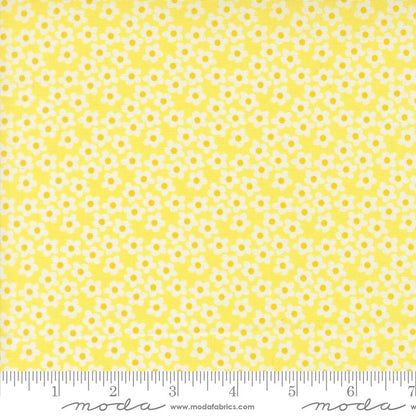 Popcorn - Layer Cake - Elizabeth Hartman - Moda (Pre-order: Dec 2026)