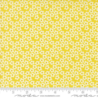 Popcorn - Fat Quarter Bundle - Elizabeth Hartman - Moda (Pre-order: Dec 2026)