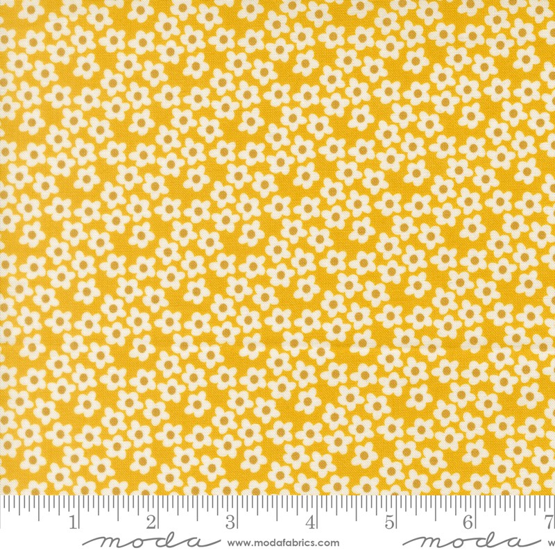 Popcorn - Fat Quarter Bundle - Elizabeth Hartman - Moda (Pre-order: Dec 2026)