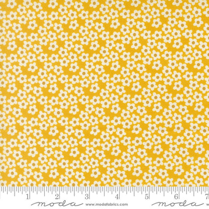 Popcorn - Fat Quarter Bundle - Elizabeth Hartman - Moda (Pre-order: Dec 2026)