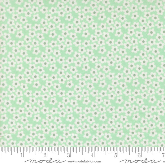 Popcorn - Popcorn Floral in Aqua - Elizabeth Hartman - Moda (Pre-order: Dec 2026)