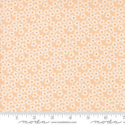 Popcorn - Charm Pack - Elizabeth Hartman - Moda (Pre-order: Dec 2026)