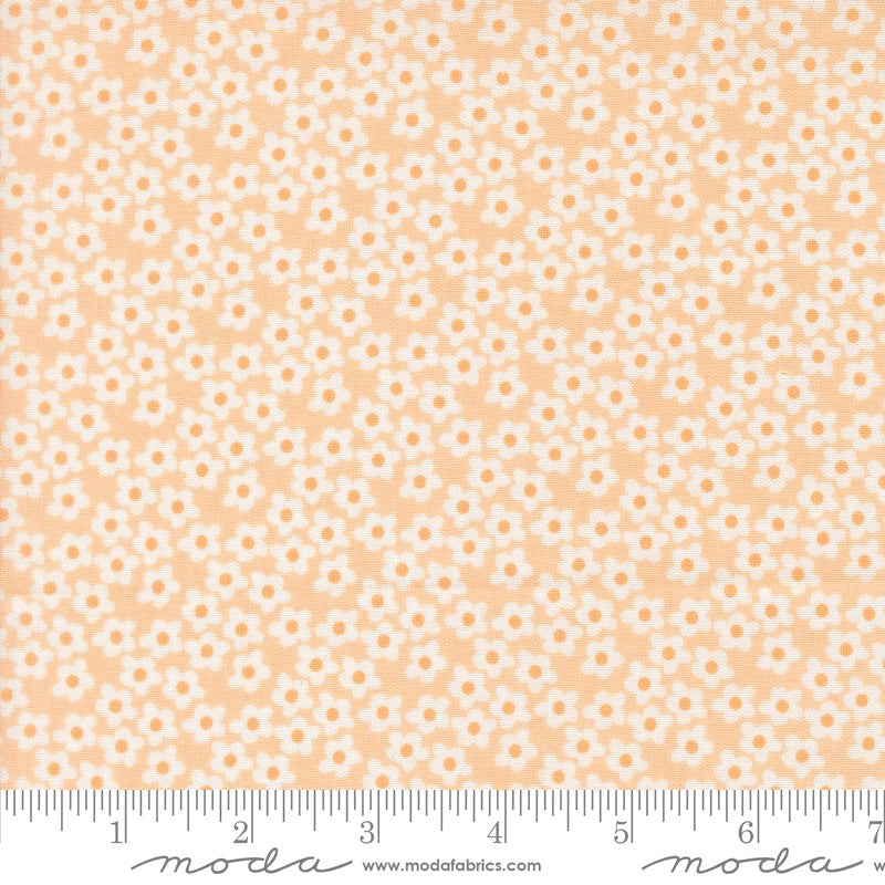 Popcorn - Layer Cake - Elizabeth Hartman - Moda (Pre-order: Dec 2026)