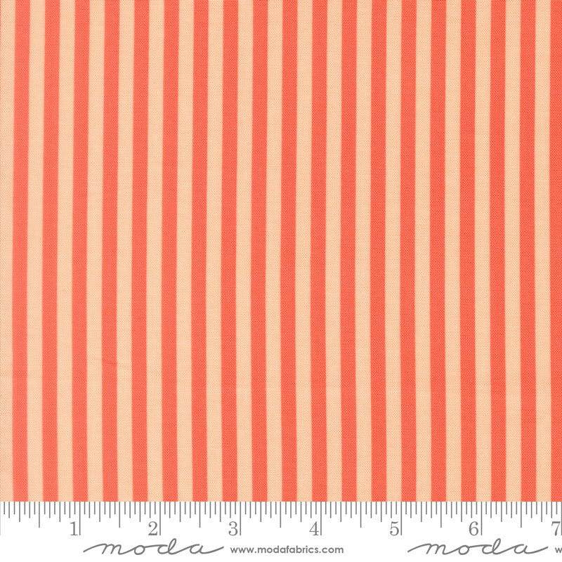 Popcorn - Charm Pack - Elizabeth Hartman - Moda (Pre-order: Dec 2026)
