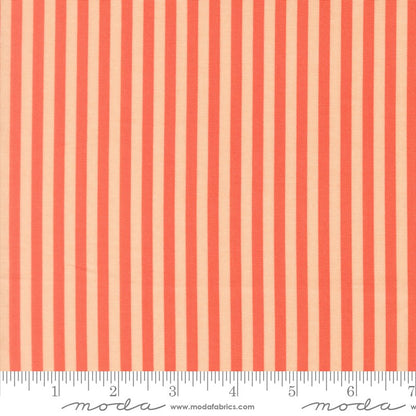 Popcorn - Charm Pack - Elizabeth Hartman - Moda (Pre-order: Dec 2026)