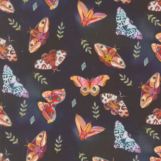 Northern Brights - Night Sky 21854-13 - Moda