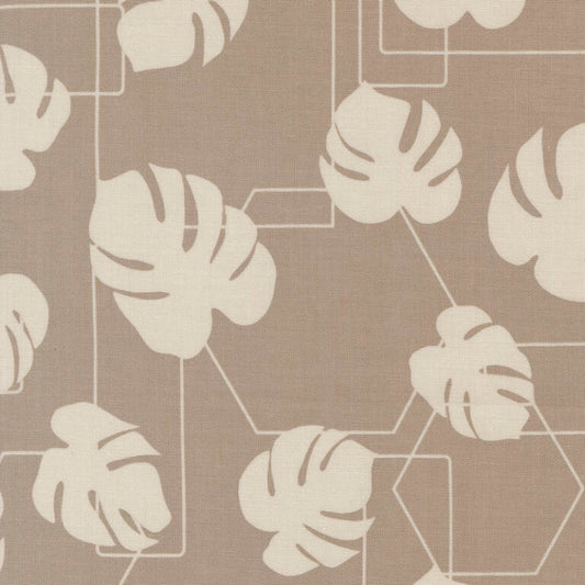 Potted - Ash - Kiley's Quilt Room - Moda 26142-13