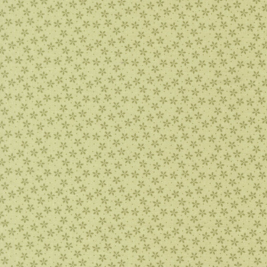 Pastel Prairie - 31783-14 - Pear - Moda