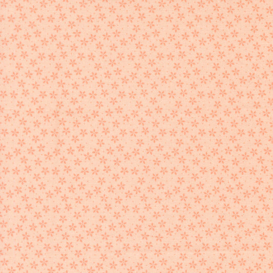 Pastel Prairie - 31783-18 - Petal - Moda