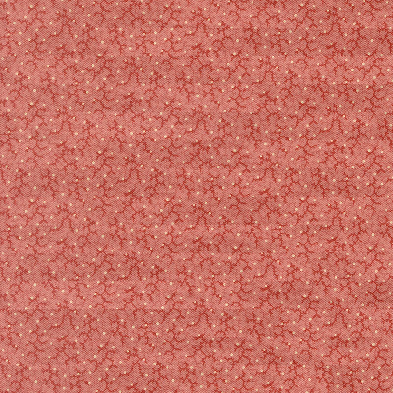 Pamelia's Path - Pink 47557-17 - Betsy Chutchian - Moda