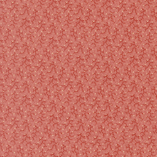 Pamelia's Path - Pink 47557-17 - Betsy Chutchian - Moda