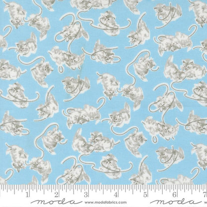 A Cat Name Stitch - Charm Pack - Camille Roskelley - Moda (Pre-order: May 2026)