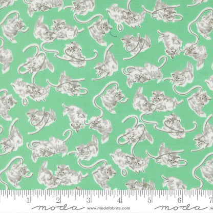 A Cat Name Stitch - Jelly Roll - Camille Roskelley - Moda (Pre-order: May 2026)