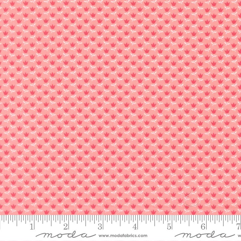 A Cat Name Stitch - Layer Cake - Camille Roskelley - Moda (Pre-order: May 2026)