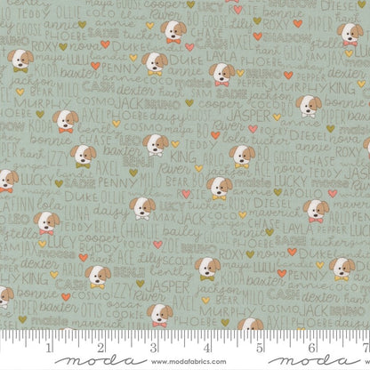 Lucky - Layer Cake - Sweetwater - Moda