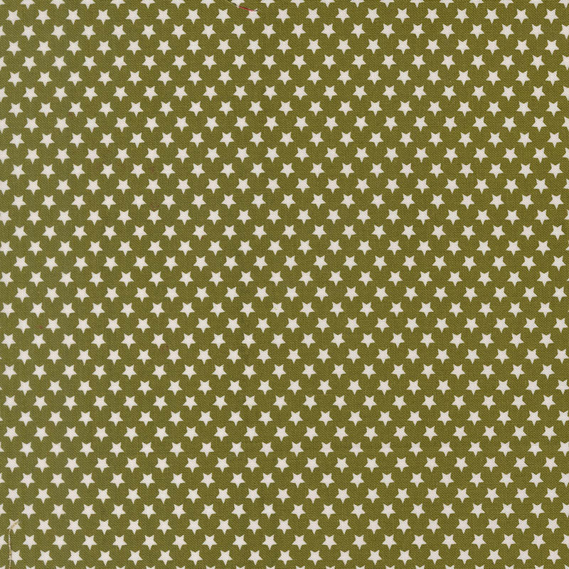 Chilly - Pine 55714-23 - Moda