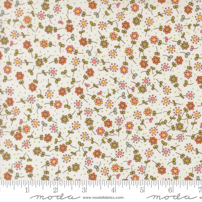 Bug Collector - Jelly Roll - Sweetwater - Moda (Pre-order: Nov 2026)